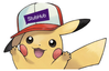 pika stubhub.PNG